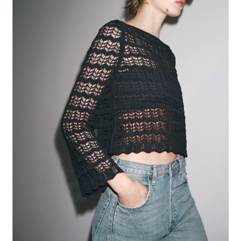 NWT Zara 
POINTELLE KNIT CROP SWEATER